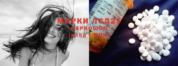 спиды Гусев