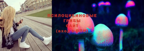 молекула духа Гусиноозёрск