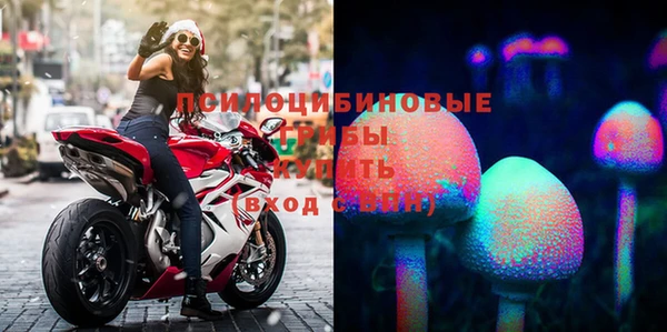 спиды Гусев